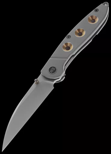 WE Knife Schism Folding Knife