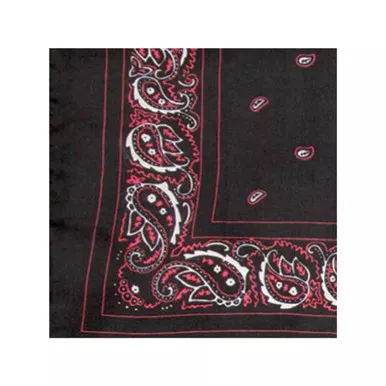 WYOMING TRADERS Bandana Regular Silk Scarf